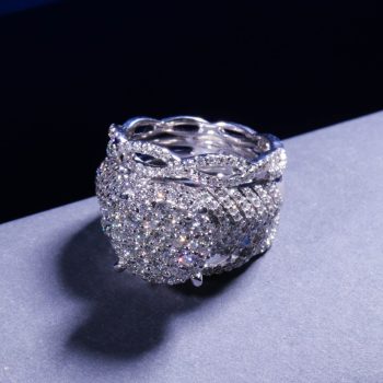 Jewelry 1017
